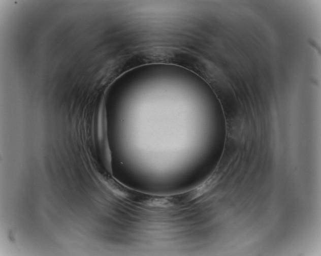 X0000098220086200804241354