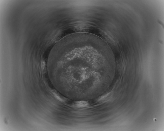 X0000098220087200804241354