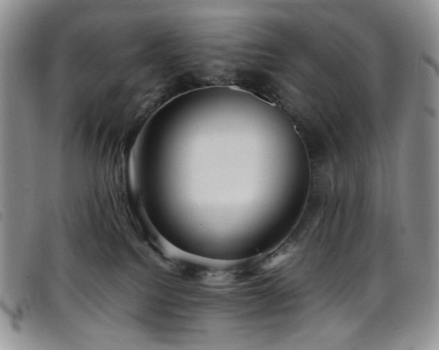 X0000098220088200804241354
