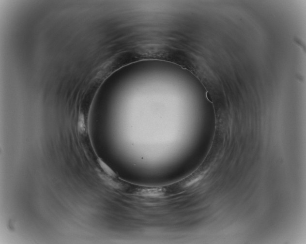 X0000098220089200804241354