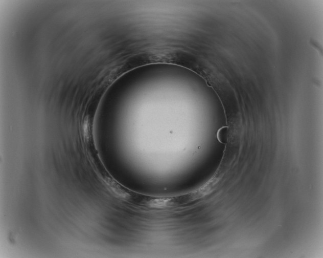 X0000098220090200804241354
