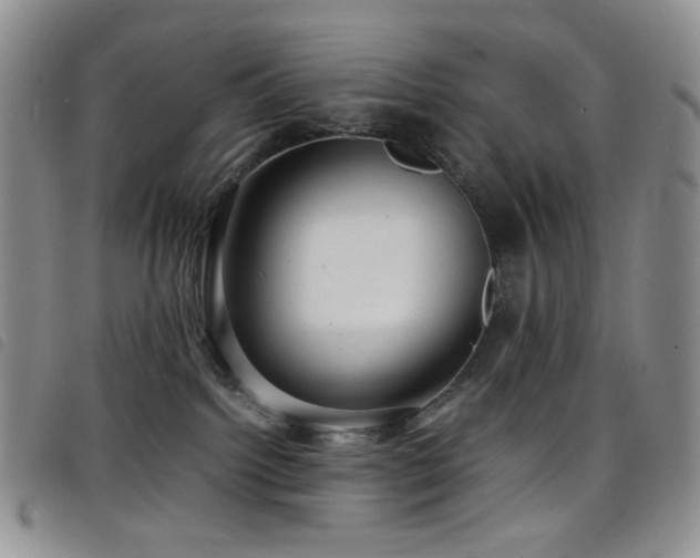 X0000098220092200804241354