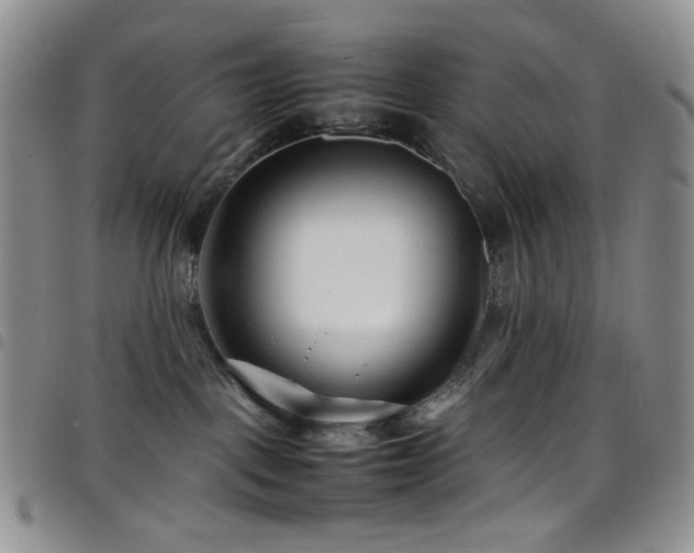 X0000098220093200804241354
