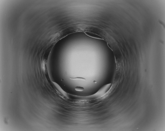 X0000098220094200804241354