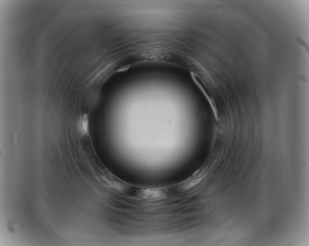 X0000098220095200804241354