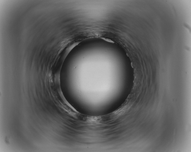 X0000098220096200804241354