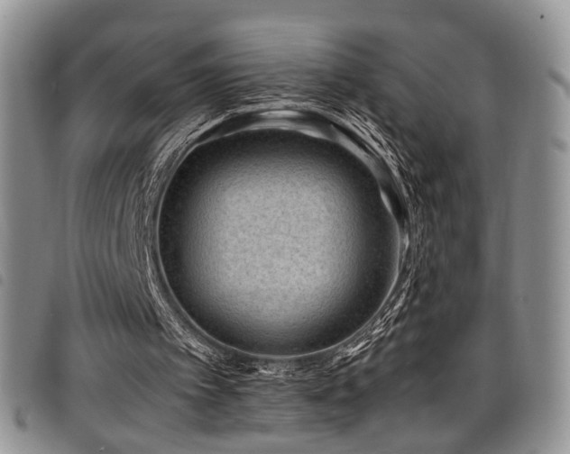 X0000098220097200804241353