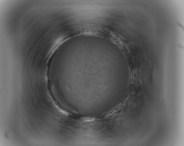 X0000098220098200804241353