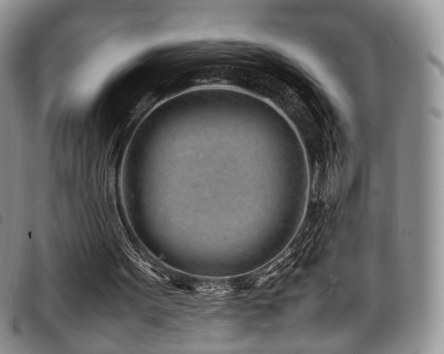 X0000098220099200804241353