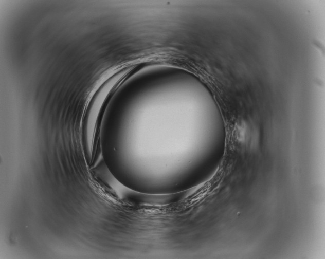 X0000098220100200804241353