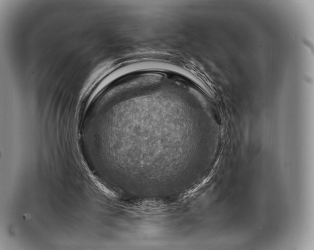 X0000098220101200804241353