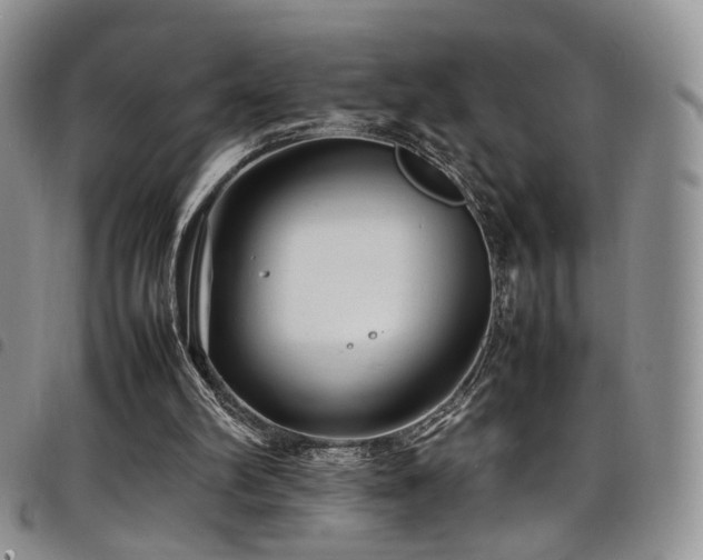 X0000098220102200804241353