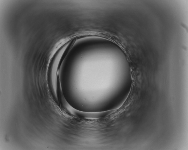 X0000098220104200804241353