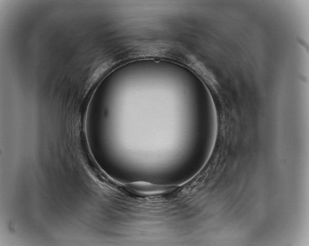 X0000098220107200804241353
