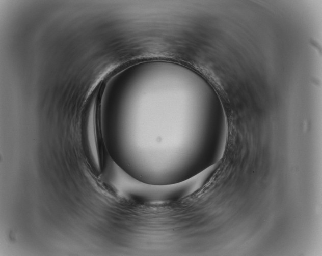 X0000098220108200804241353