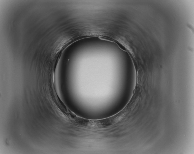 X0000098220109200804241353