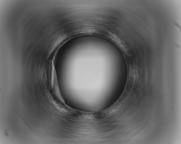 X0000098220110200804241353