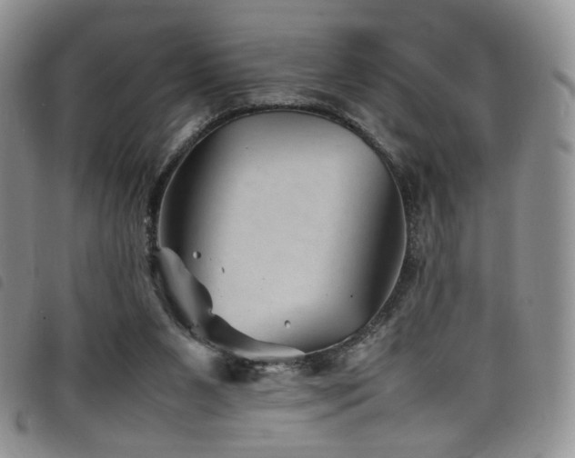 X0000098220111200804241353