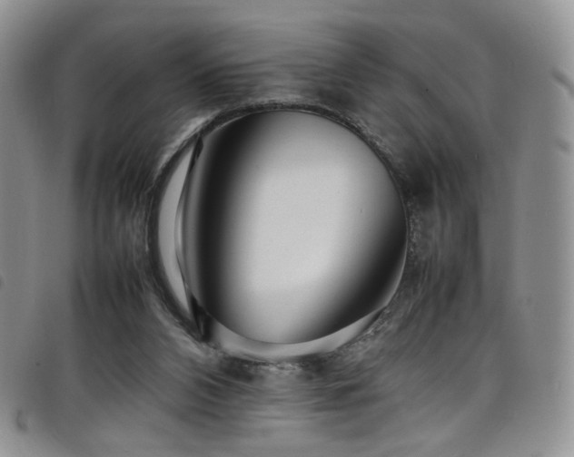 X0000098220112200804241353