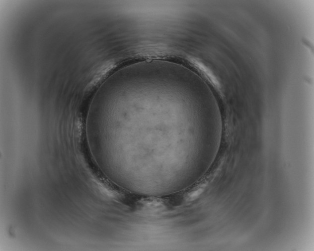 X0000098220113200804241353