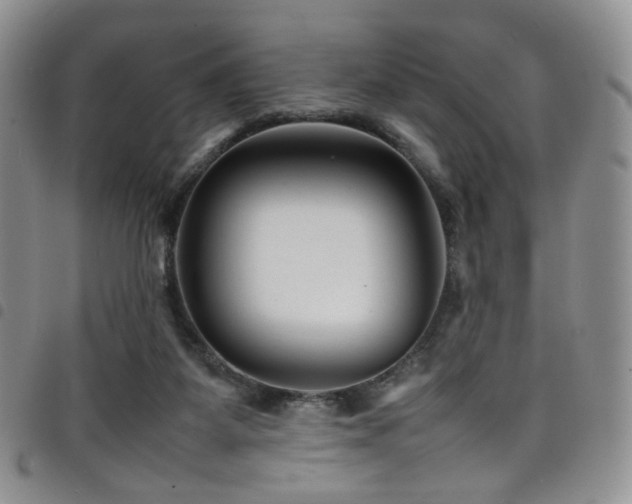 X0000098220115200804241353