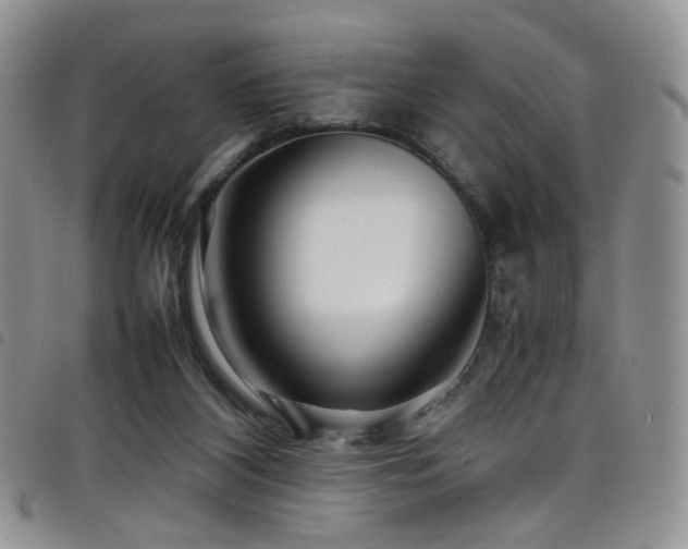 X0000098220116200804241353
