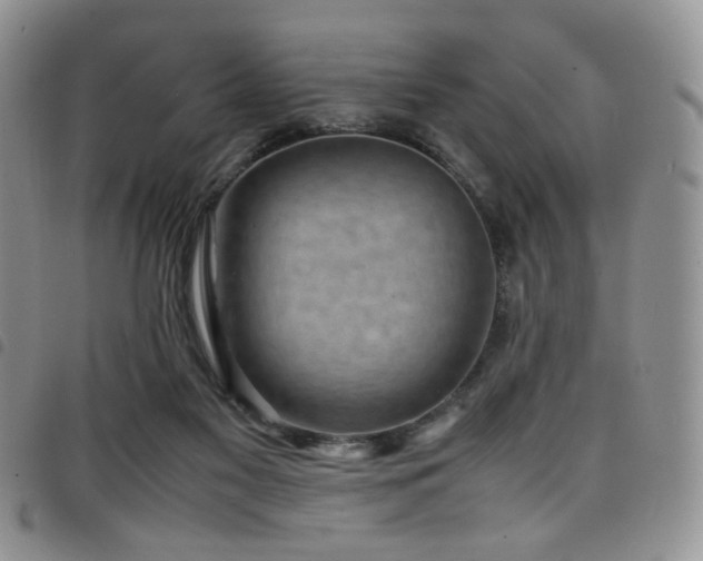 X0000098220117200804241353