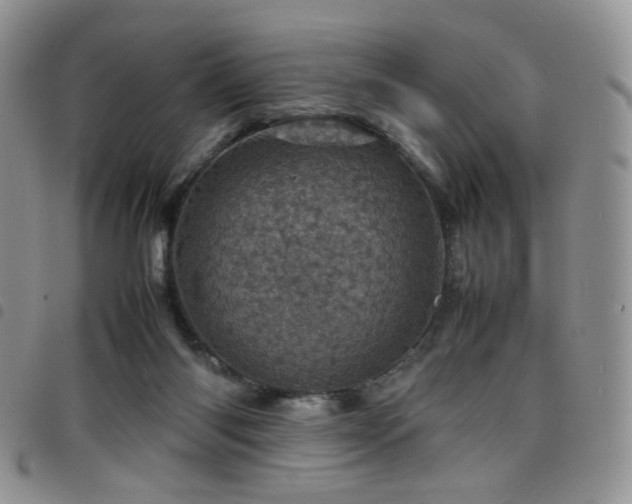 X0000098220118200804241353