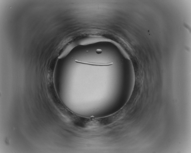 X0000098220119200804241353