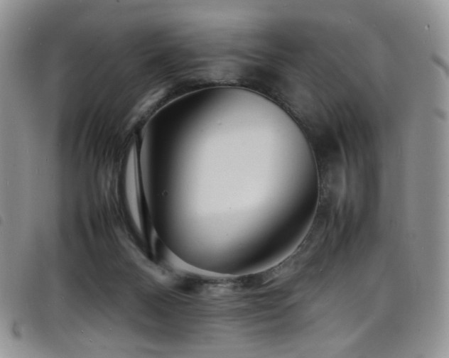 X0000098220120200804241353