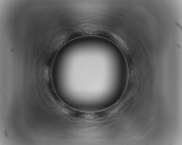 X0000098220121200804241353