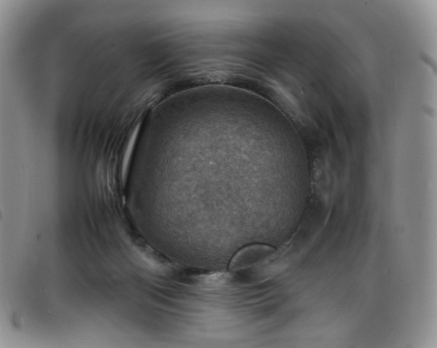 X0000098220122200804241353