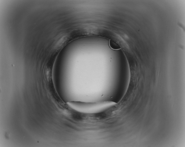 X0000098220123200804241353