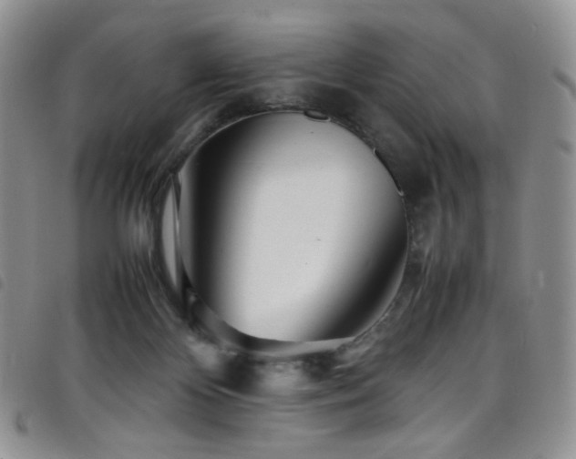 X0000098220124200804241353