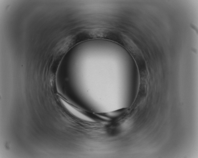 X0000098220125200804241353