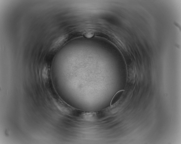 X0000098220126200804241353