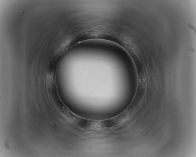 X0000098220127200804241353