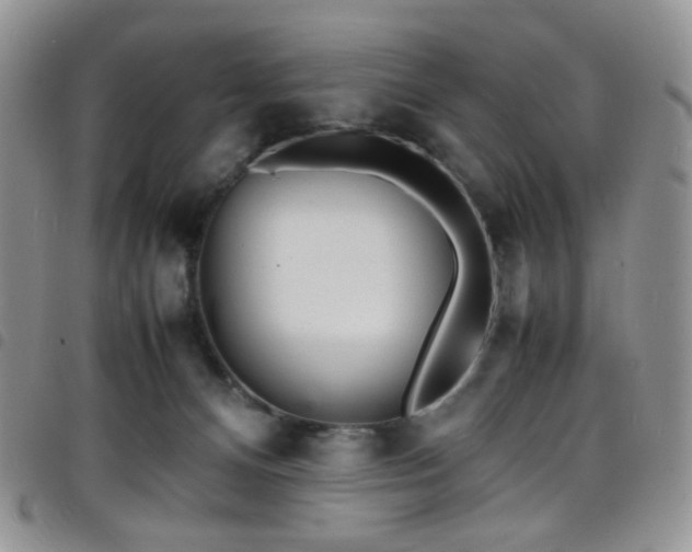 X0000098220128200804241353