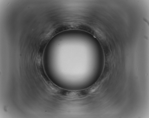 X0000098220129200804241353
