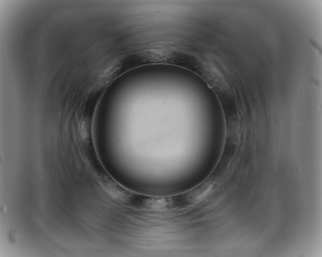 X0000098220131200804241353