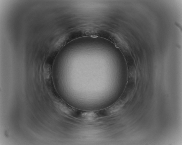 X0000098220133200804241353