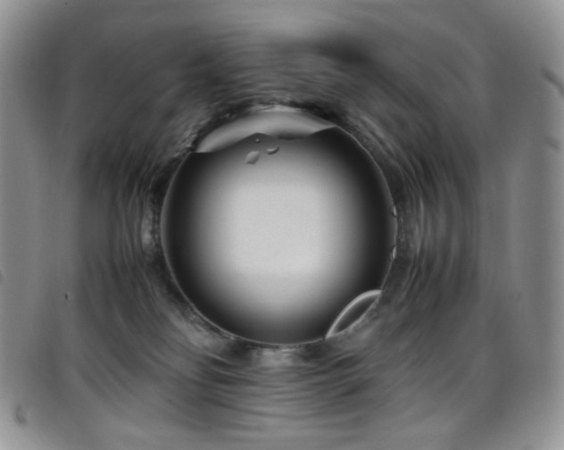 X0000098220134200804241353