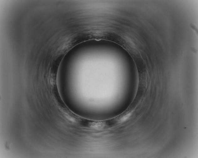 X0000098220135200804241353