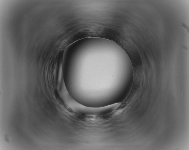 X0000098220137200804241353