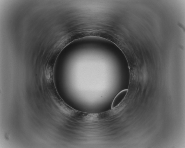 X0000098220138200804241353