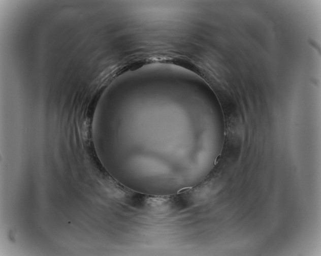 X0000098220139200804241353
