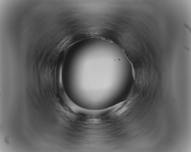 X0000098220140200804241353