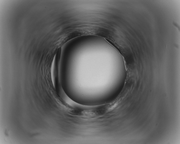 X0000098220141200804241353