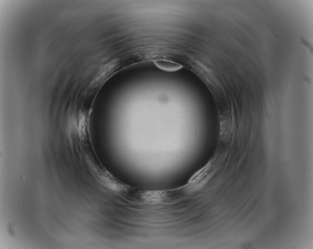 X0000098220142200804241353
