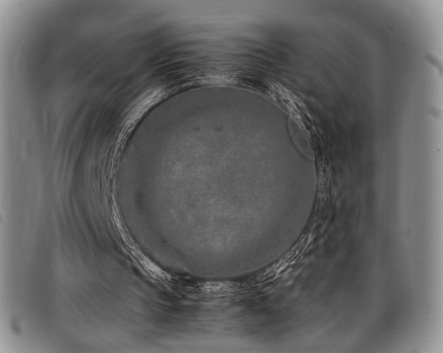 X0000098220145200804241352